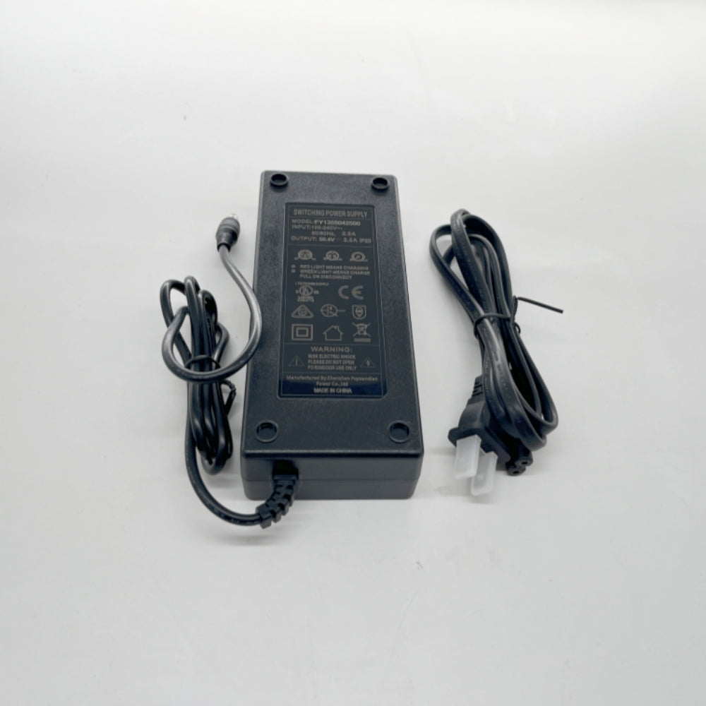 12S 50.4V 2.5A Charger(Compatible with Verreal RS Pro and Verreal ACE)