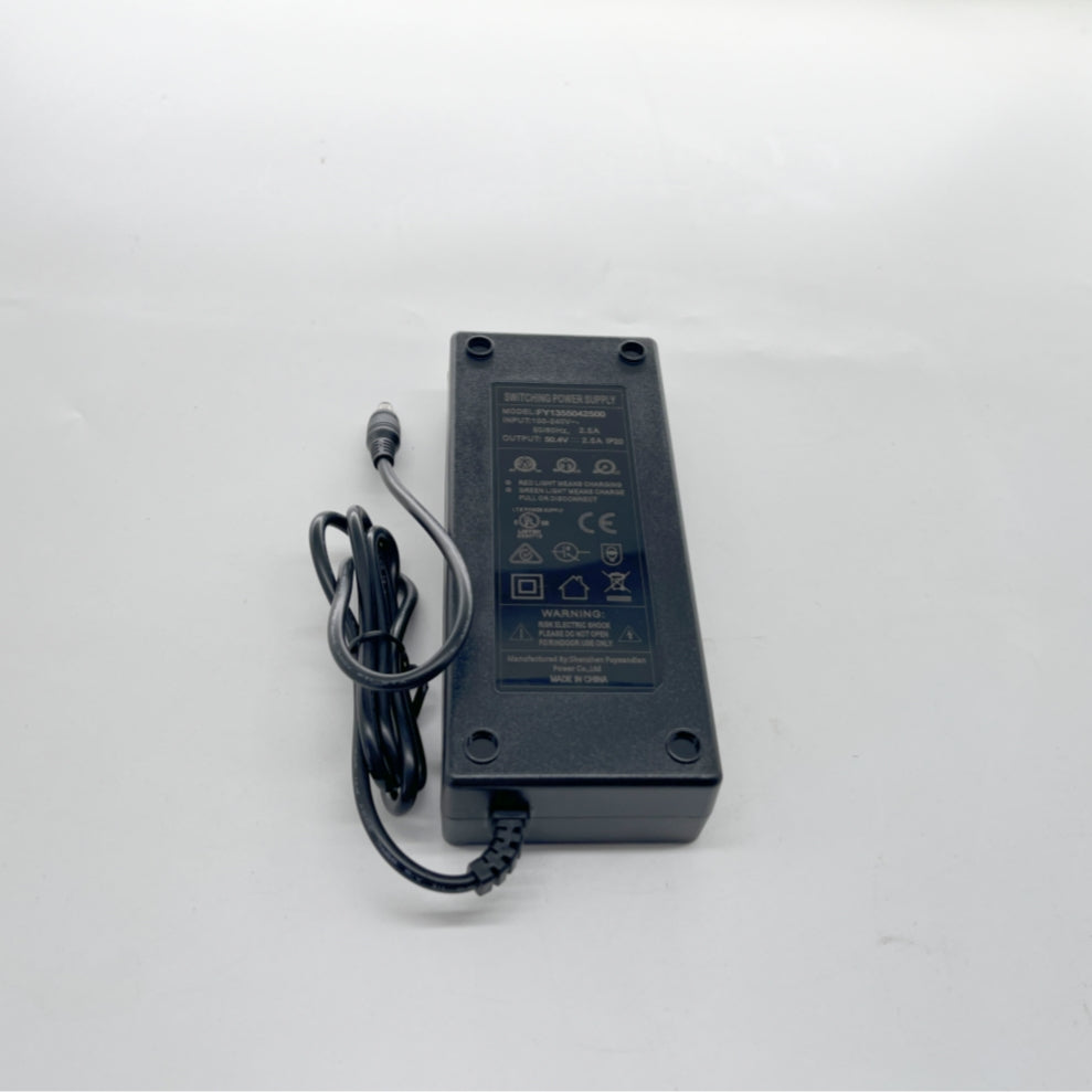 12S 50.4V 2.5A Charger(Compatible with Verreal RS Pro and Verreal ACE)